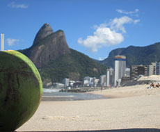 Tour Paraíso Tropical e Praias Selvagens de Jeep