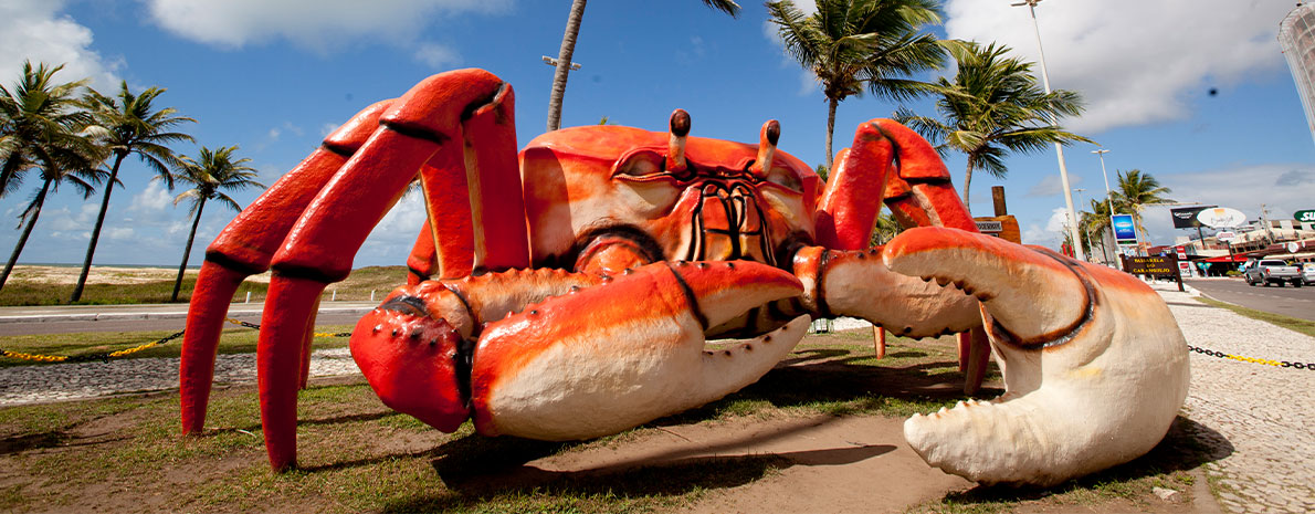 City Tour em Aracaju - Saída dos hotéis Makai, Jangadeiro, NB ou Makai Express