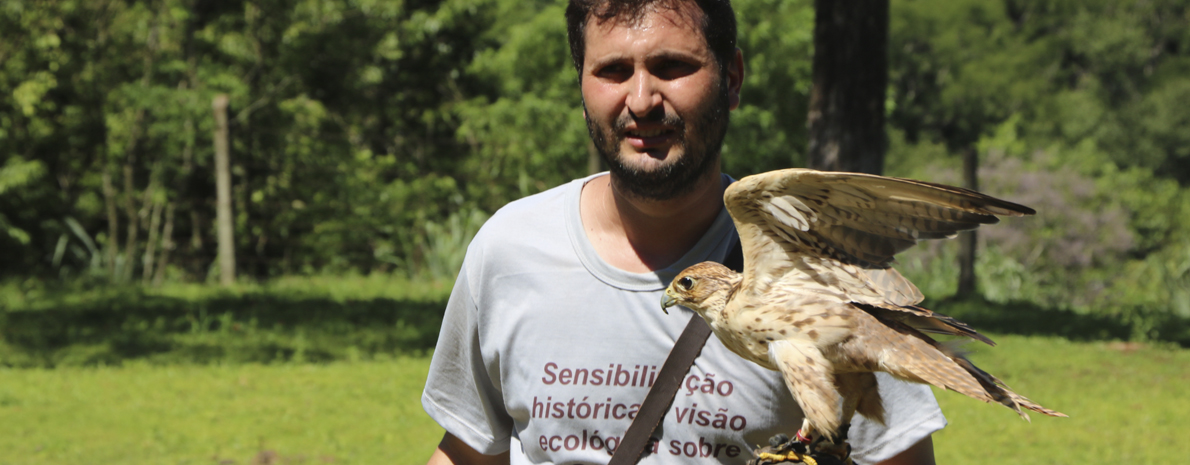 Dreams Eco Park ( Aves de Rapina ) - com transporte