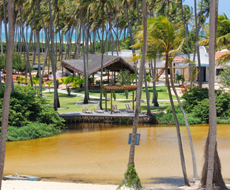 Passeio à Praia de Punaú  