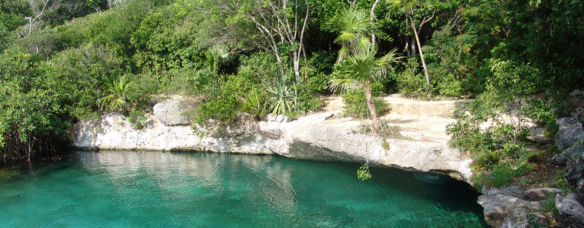 Tour Xel-há saindo de Cancun e Riviera Maya