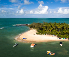 Ilha de Santo Aleixo -  Saída de hotéis em Boa Viagem ou Piedade