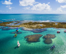 Passeio à Praia de Porto de Galinhas - Saída de hotéis em Reserva do Paiva