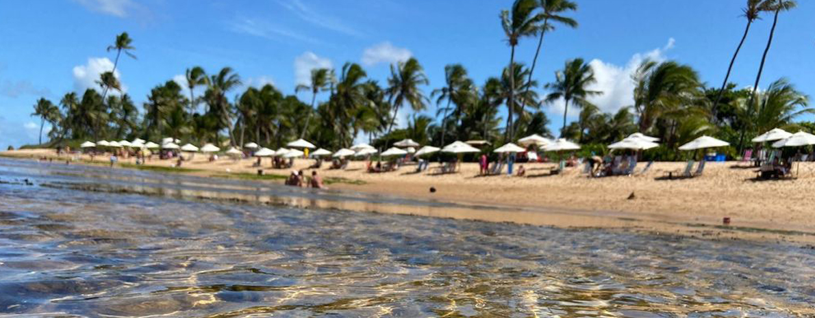 Passeio à Praia do Forte e Guarajuba 