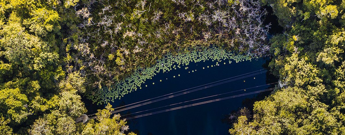 Tour Xenotes saindo de Cancún, Riviera Maya e Playa del Carmen