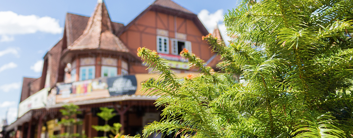 City Tour Blumenau - Saída de Hotéis em Florianópolis - Privativo 