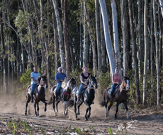 Passeio à Cavalo