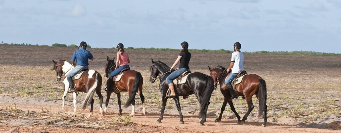 Passeio à Cavalo