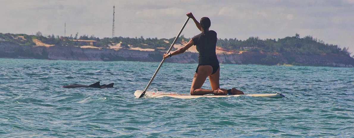 Aluguel de Stand up Paddle