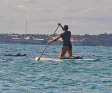 Aluguel de Stand up Paddle
