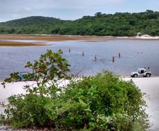 Passeio de Buggy - Lagoa de Arituba