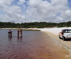 Passeio de Buggy - Sagí