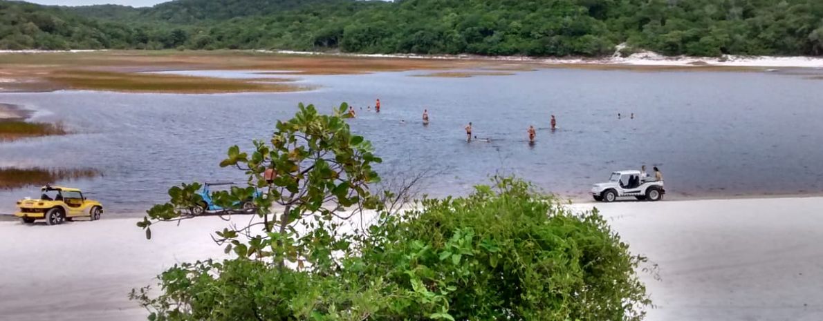 Passeio de Buggy - Lagoa de Arituba