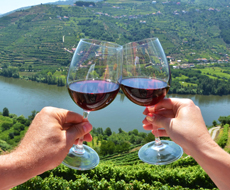 Tour de Vinho pelo Vale do Douro