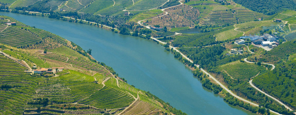Tour de Vinho pelo Vale do Douro