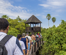 Pantanal Sul Miranda Region - Fazenda San Francisco - 02 days and 01 night