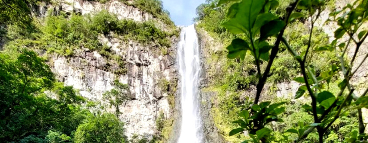 Cachoeira Pedra Branca - Saída de Cambará do Sul