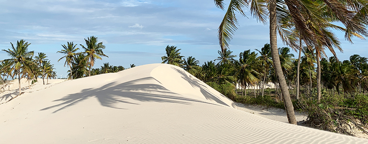 Passeio de Jardineira em Jericoacoara - Barrinha + Munzuá