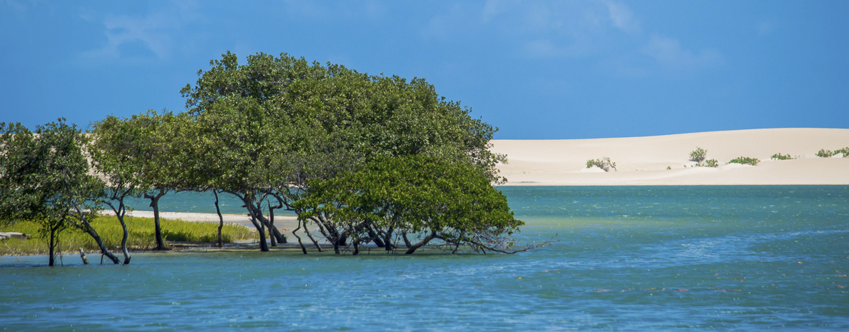 Praia de Galinhos com barco