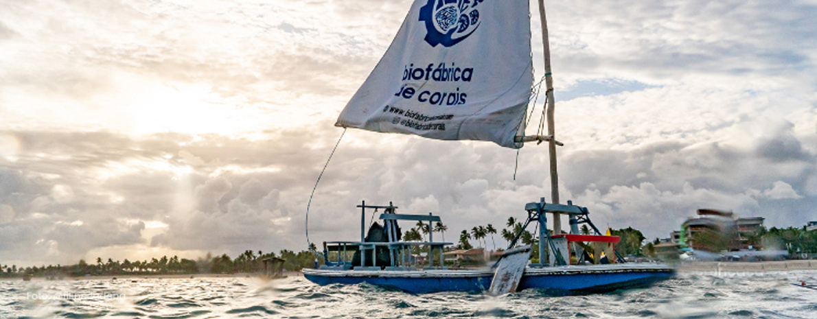 Liberdade Azul