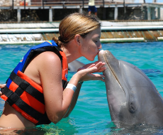 Entrance to Garrafon Park + Dolphin Encounter on Isla Mujeres (Departure from Cancún)