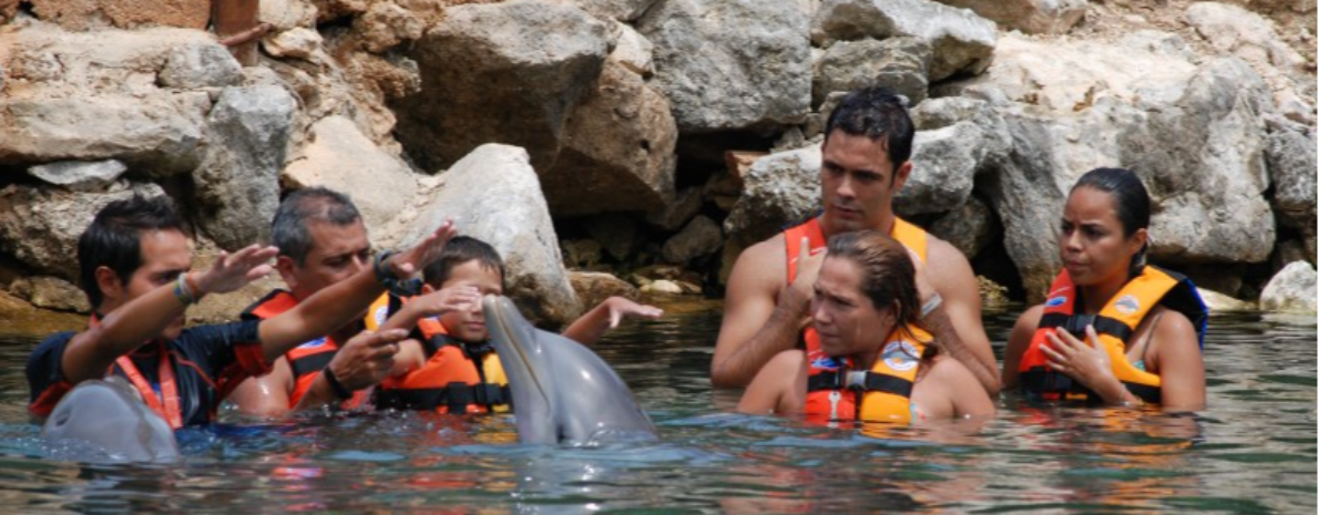 Ingresso ao Parque Garrafon + Encontro com Golfinho em Isla Mujeres (Saída de Cancún)