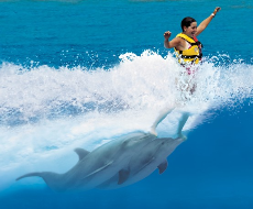 Ingresso VIP ao Parque Garrafon + Nado com 02 Golfinhos em Isla Mujeres (Saída de Cancún)
