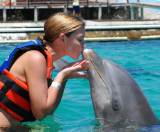 Ingresso ao Parque Garrafon + Nado com Golfinho em Isla Mujeres (Saída de Cancún)