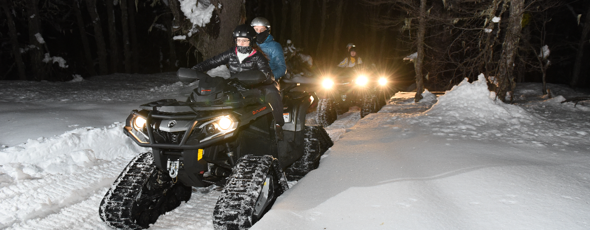 Noite Nórdica - Passeio noturno de quadriciclo na neve com jantar