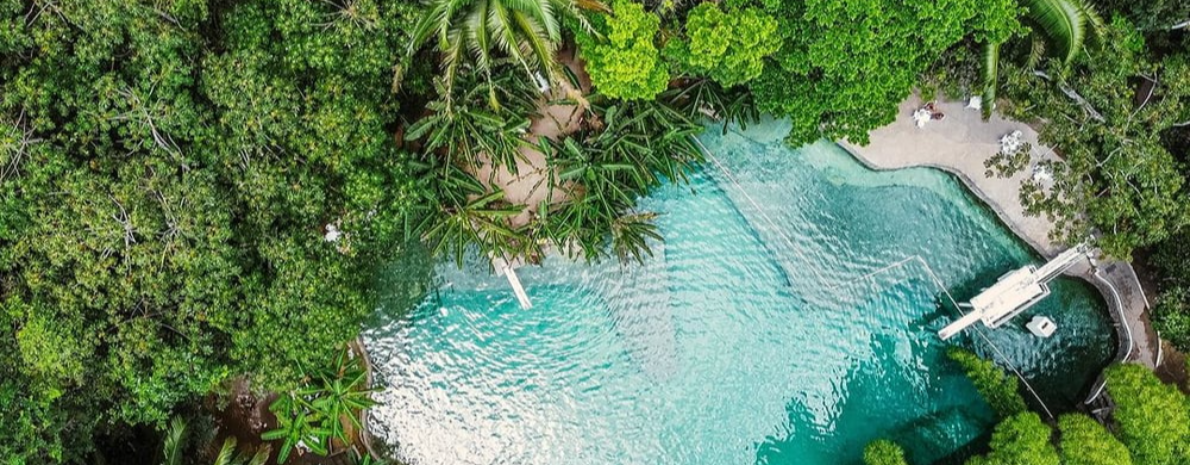 Passeio ao Santuário Ecológico Fazenda Santa Tereza (saindo de Maceió)