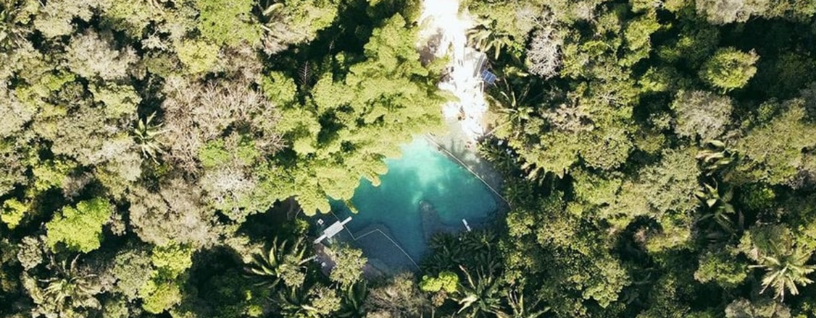 Passeio ao Santuário Ecológico Fazenda Santa Tereza (saindo de Maceió)