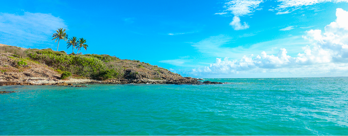 Ilha de Santo Aleixo -  Saída de hotéis em Boa Viagem ou Piedade - Privativo