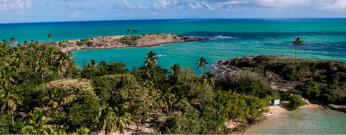 Ilha de Santo Aleixo -  Saída de hotéis em Boa Viagem ou Piedade - Privativo