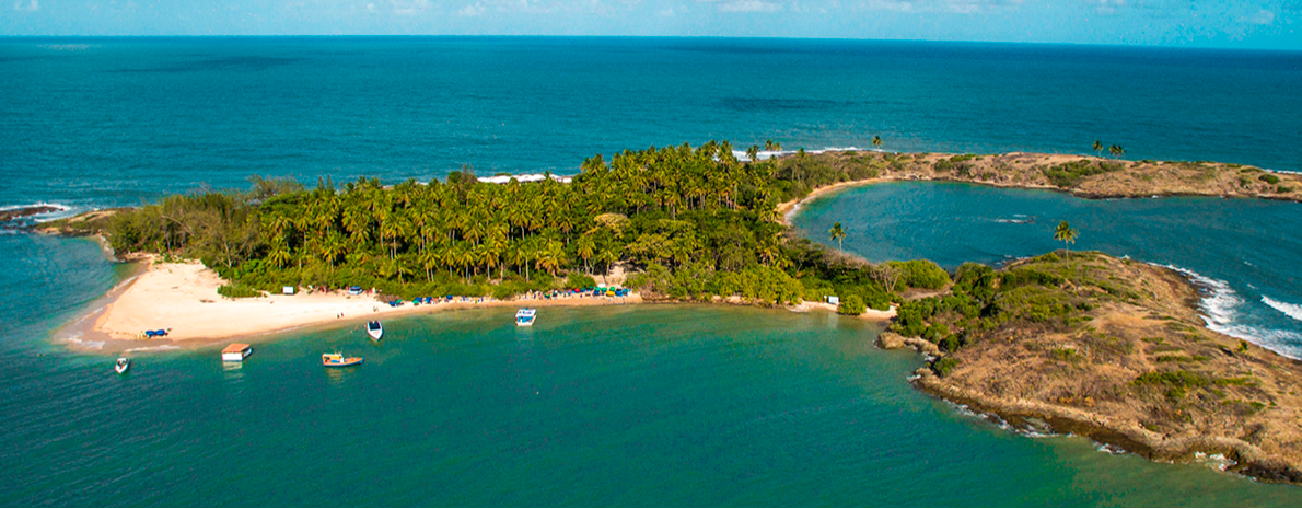 Ilha de Santo Aleixo -  Saída de hotéis em Boa Viagem ou Piedade - Privativo