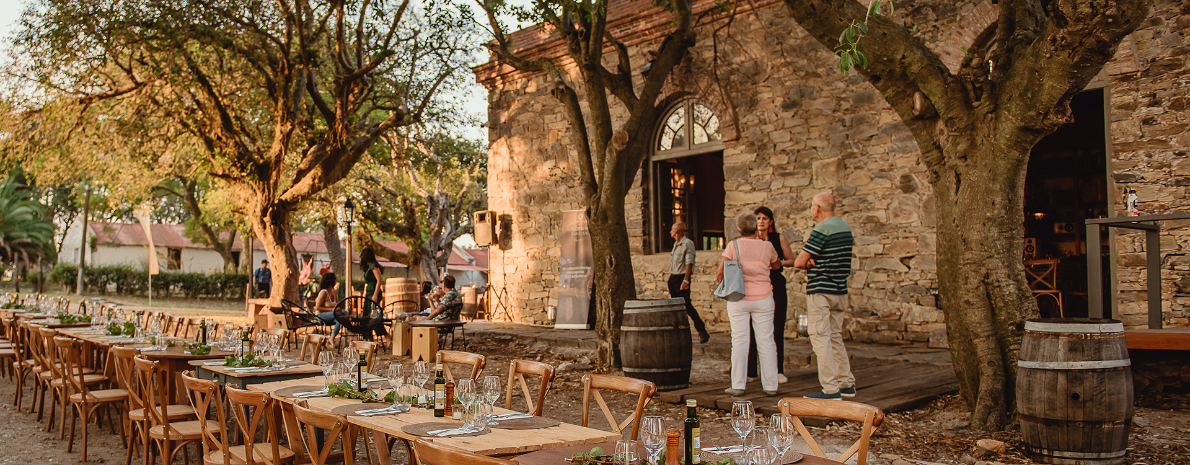 Tour a Bodega Cerros de San Juan + Almoço (Berço de Pedra dos Sentidos)(Saída de Colônia del Sacramento)