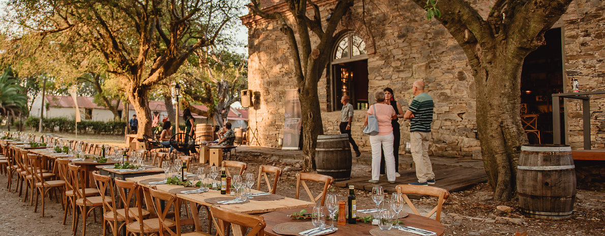 Tour a Bodega Cerros de San Juan com Degustação (Segredos dos Cerros) (Saída de Colônia del Sacramento)