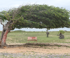 Passeio às praias do litoral leste piauiense – saída de hotéis em Parnaíba