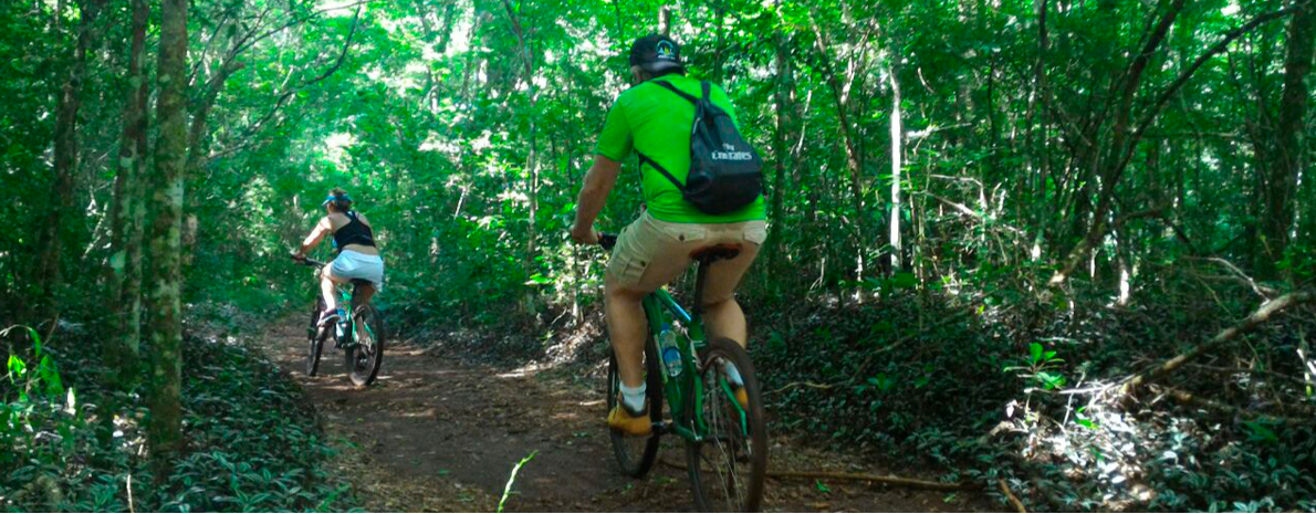 Cataratas Brasileira em Bike - apenas transporte