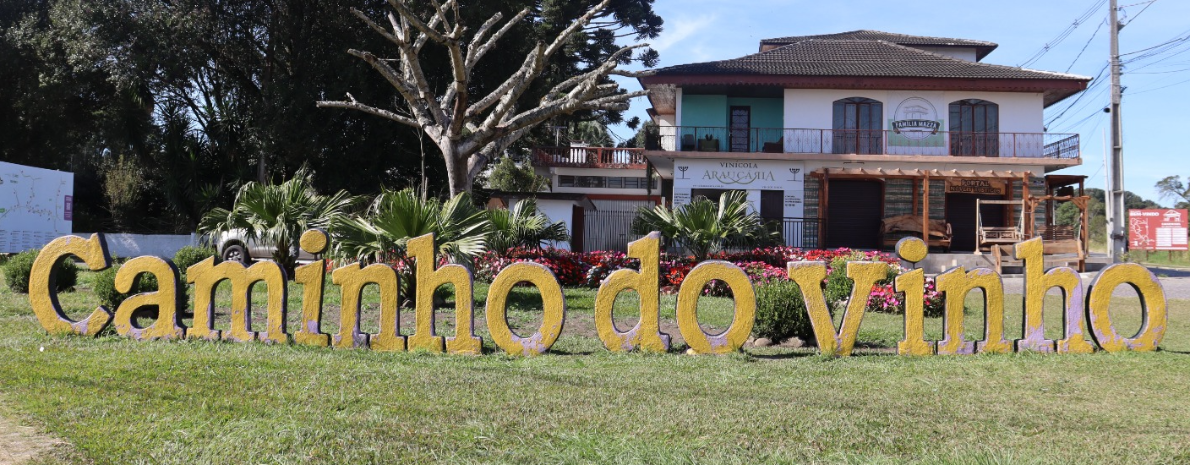 Caminho do Vinho com almoço