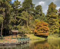 Horto Gastronômico - Saída de Campos do Jordão