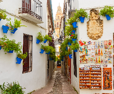 Tour to Córdoba with visit to the Mosque Cathedral from Seville (full day)