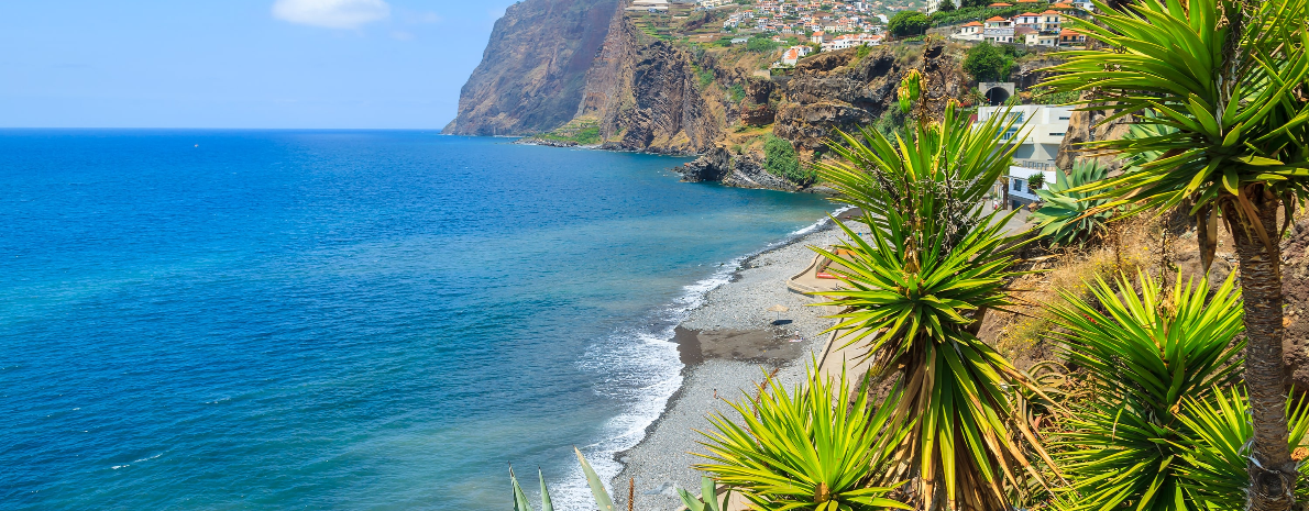 Passeio de Barco na Ilha da Madeira: Belas Baías - Este da Ilha da Madeira com almoço