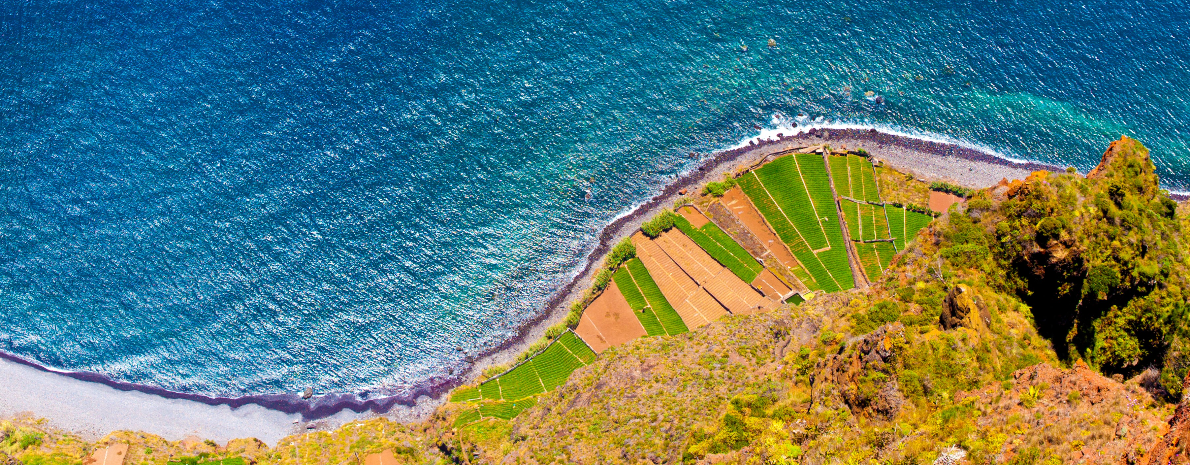 Passeio de Barco na Ilha da Madeira: Belas Baías - Oeste da Ilha da Madeira com almoço