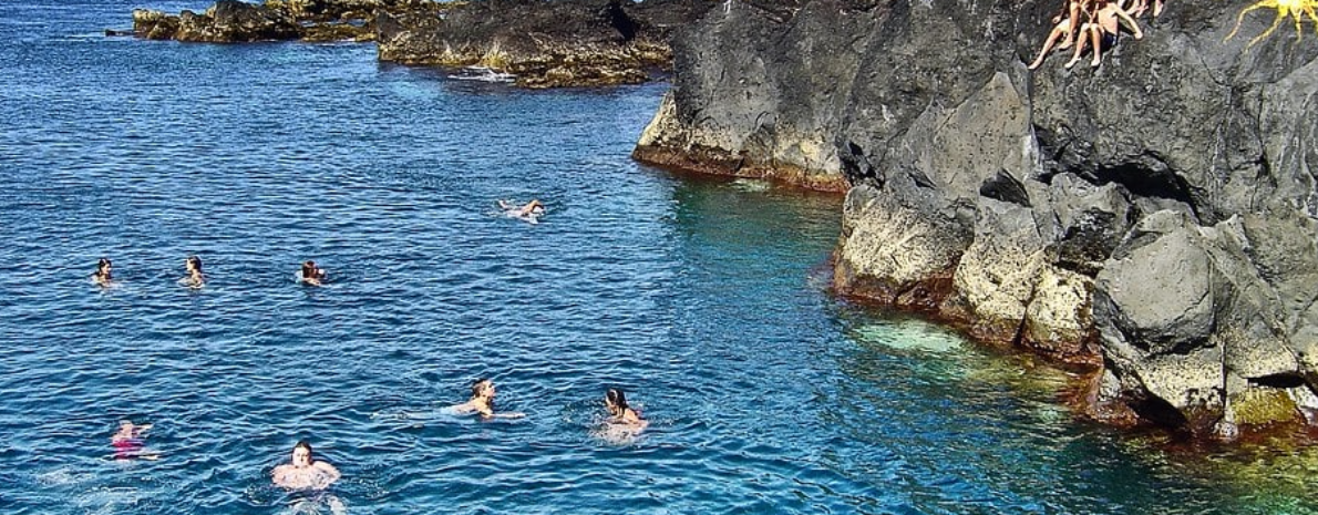 Observação de Baleias + Grutas - Ilha da Terceira, Açores (dia completo) 