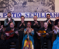 New Year&#39;s Eve at El Patio Sevillano in Seville with gala dinner + flamenco show