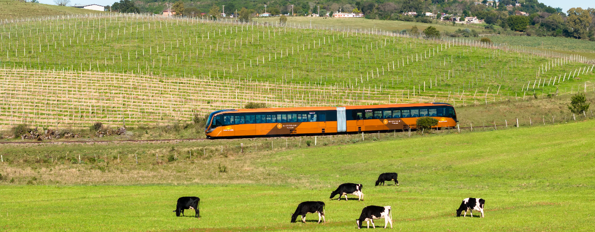 Trem do Pampa - Período da Manhã saída de Sant´Ana do Livramento