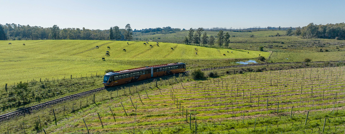 Trem do Pampa - Período da Manhã saída de Sant´Ana do Livramento