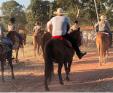 Pantanal Sul Miranda Region - Raiz Entourage Package (Pantanal Farm Experience) 03 Days / 02 Nights