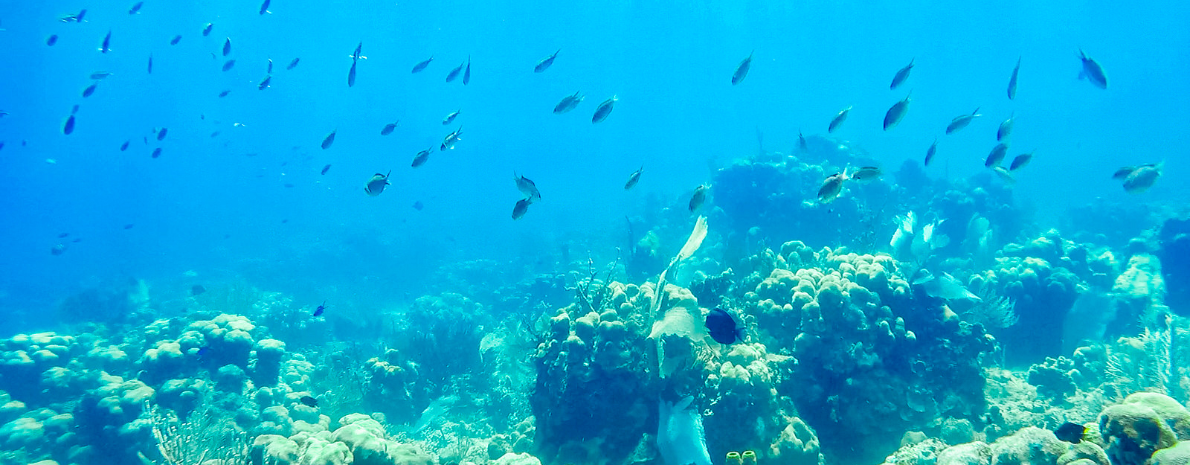 Altos de Chávon & Snorkeling na Ilha Catalina