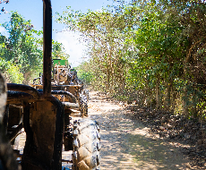 Buggies de Aventura (Compartilhado)